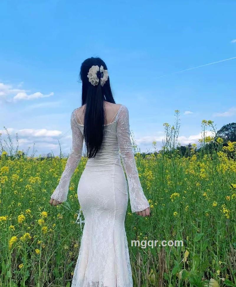 百合的照片