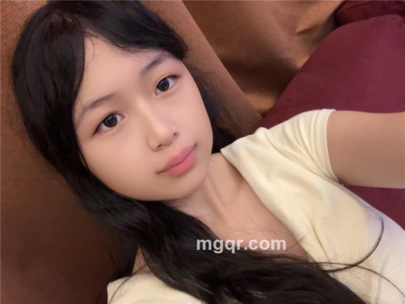 可爱的小猪的照片