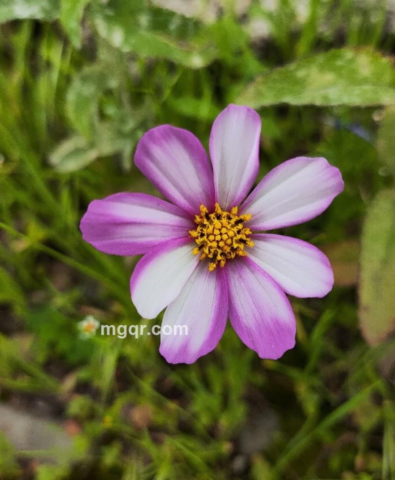 等你AIAI1111的第2张照片