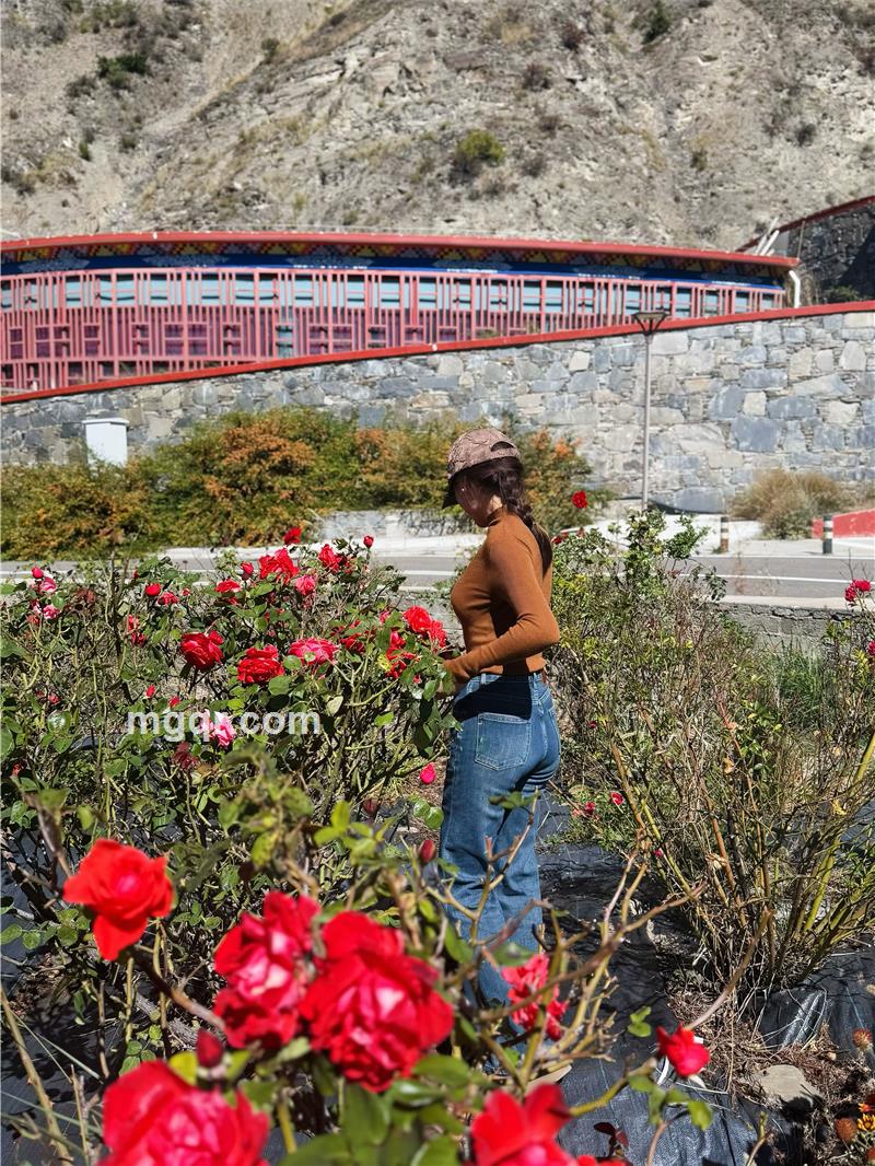 🈶你才完美的照片