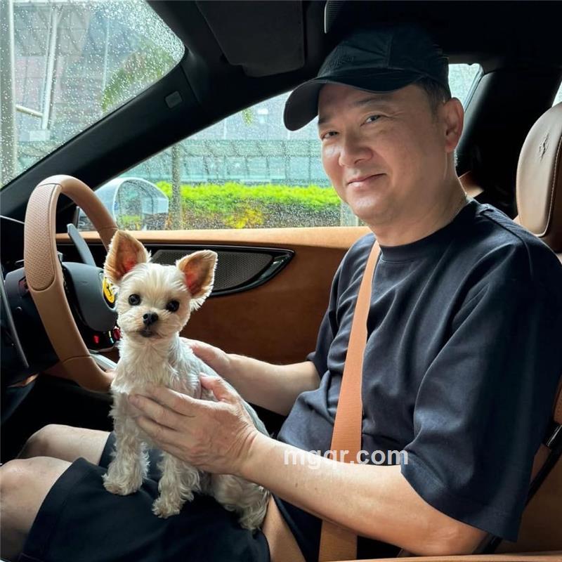 竹下听泉的第4张照片