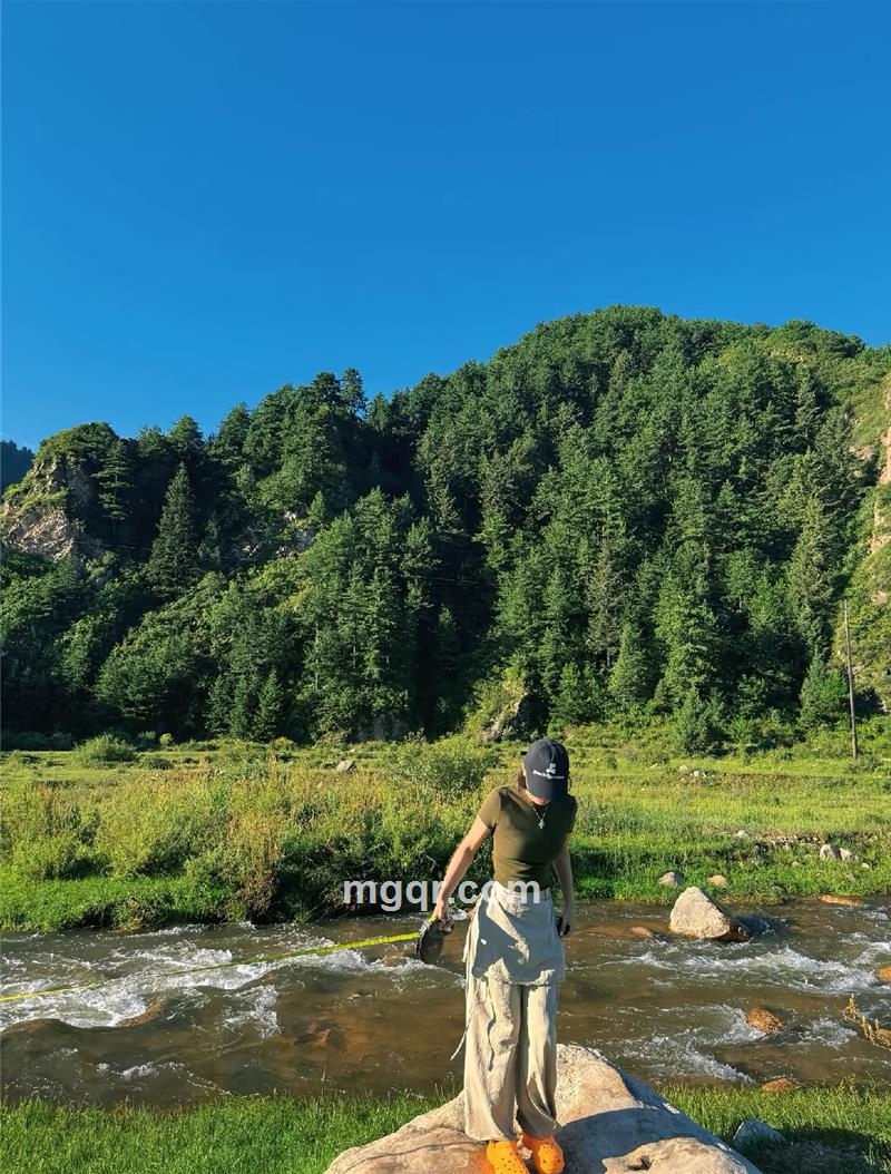 玫瑰小姐的照片