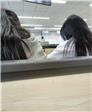 会员5511449的第2张照片