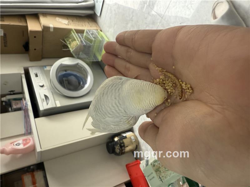 断桥流沙的第9张照片