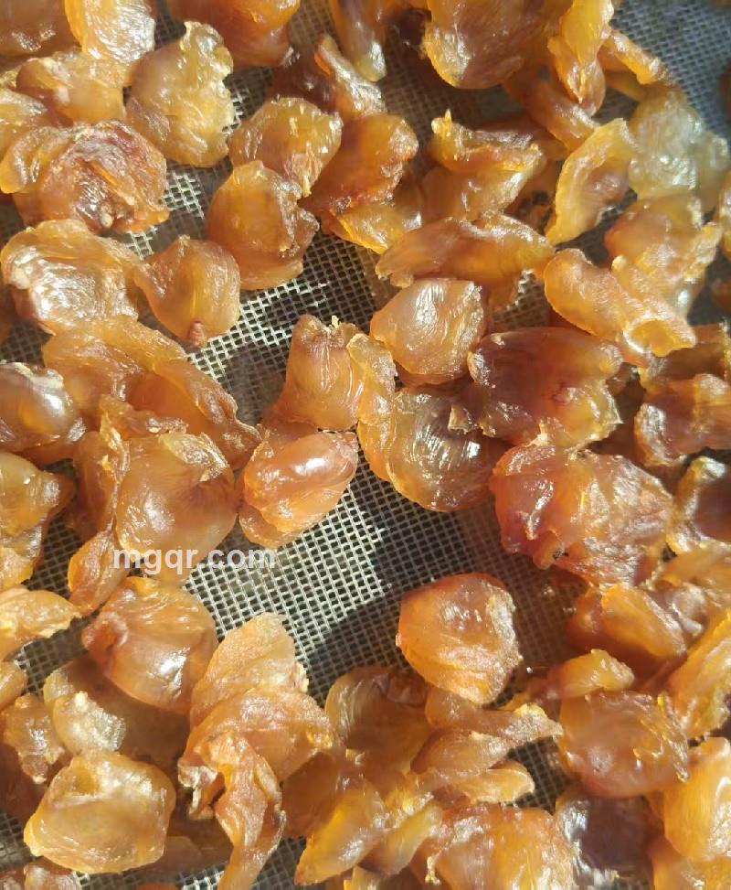 鱫有天䪰的照片