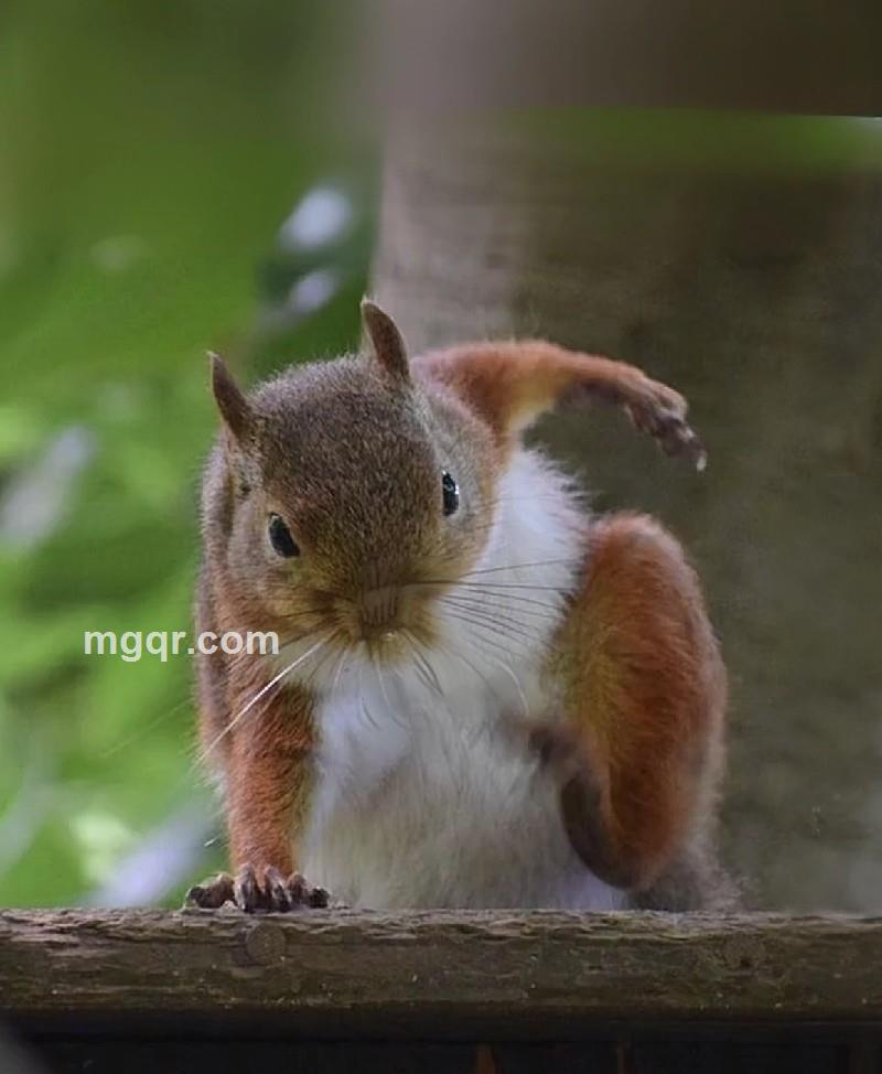 记忆犹新的照片