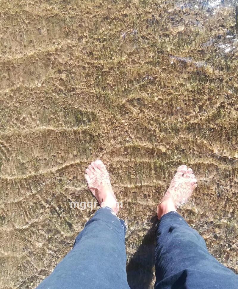 会员5516678的照片