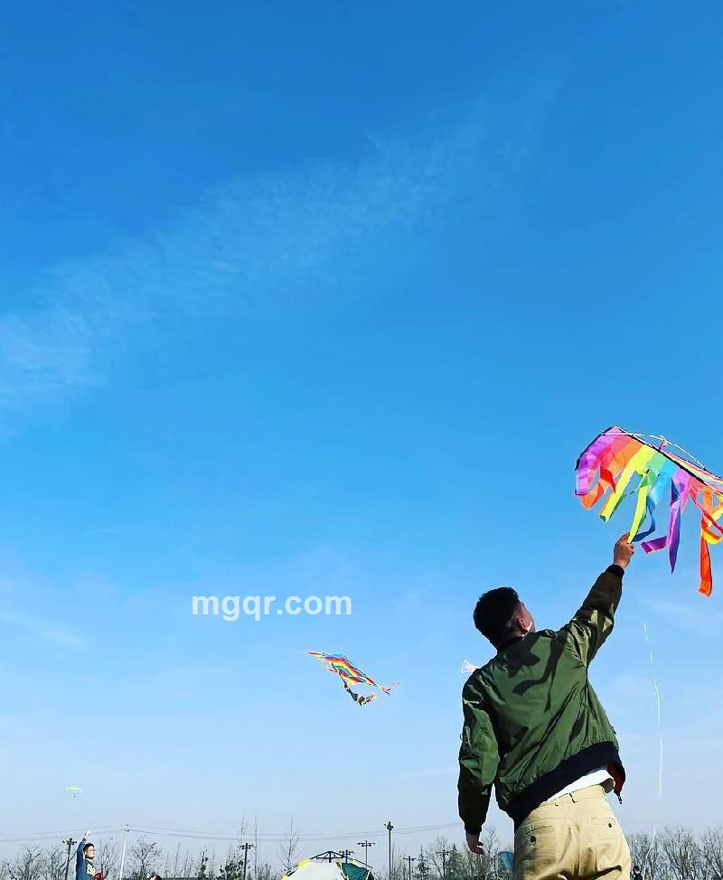 四十不惑的照片