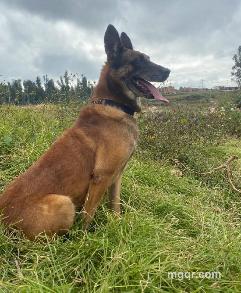 国家平安的照片