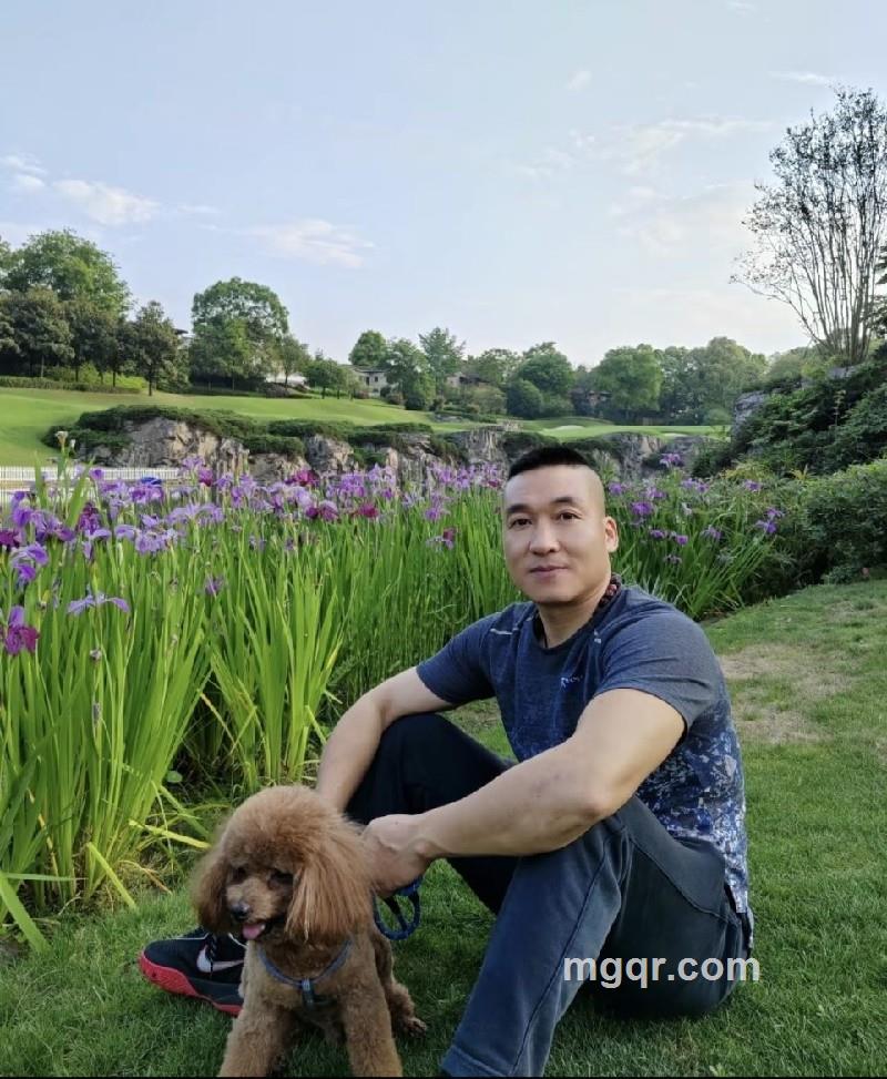 些许风霜的照片