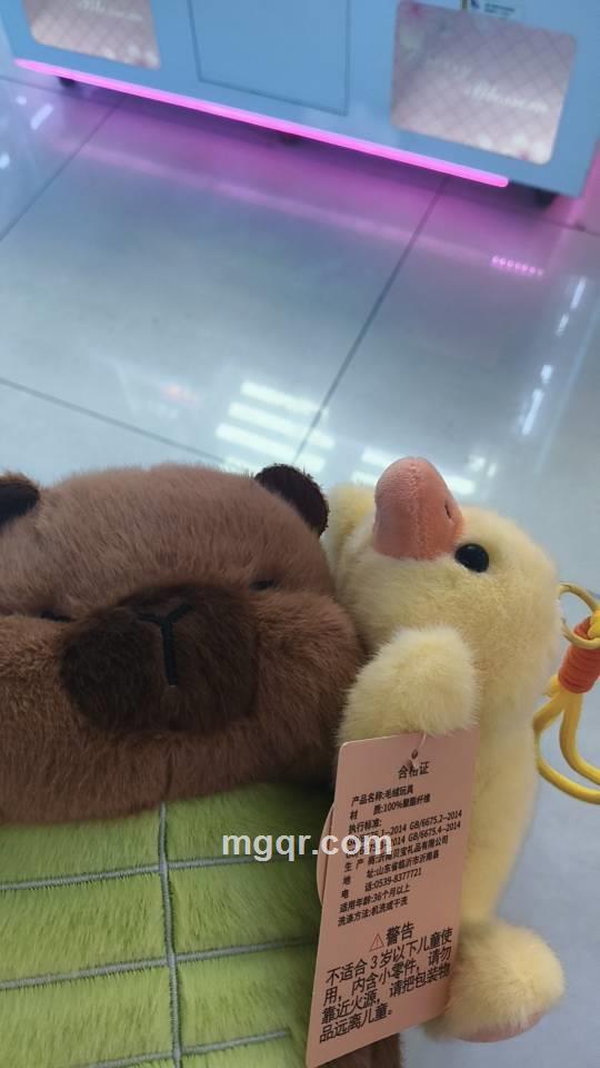 听风就是雨的照片