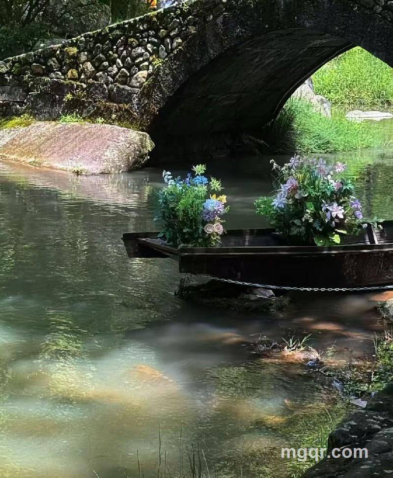 及时浇灌和解决困难的照片