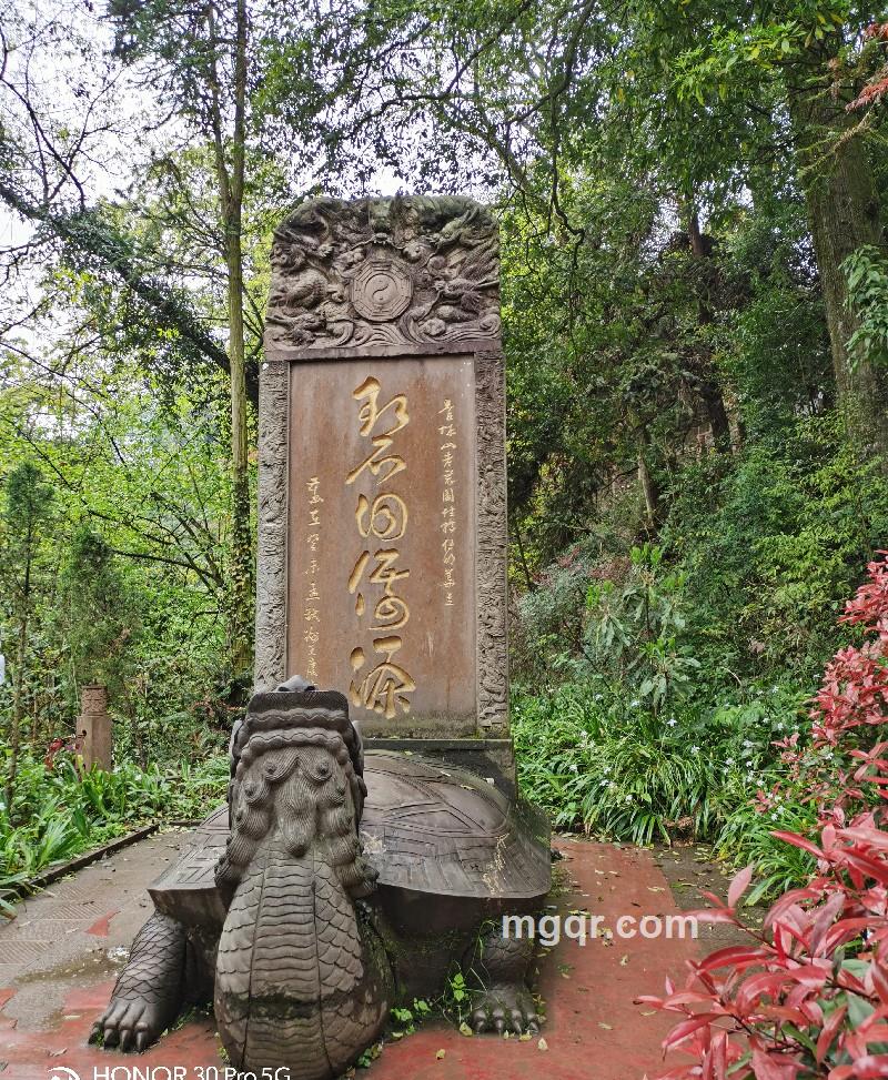 顺其自然的照片