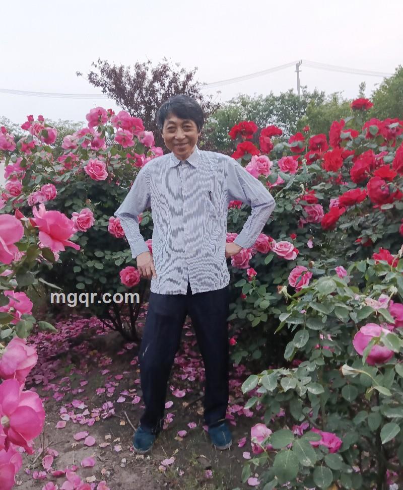 感情特闲户张夫会员5524624的照片