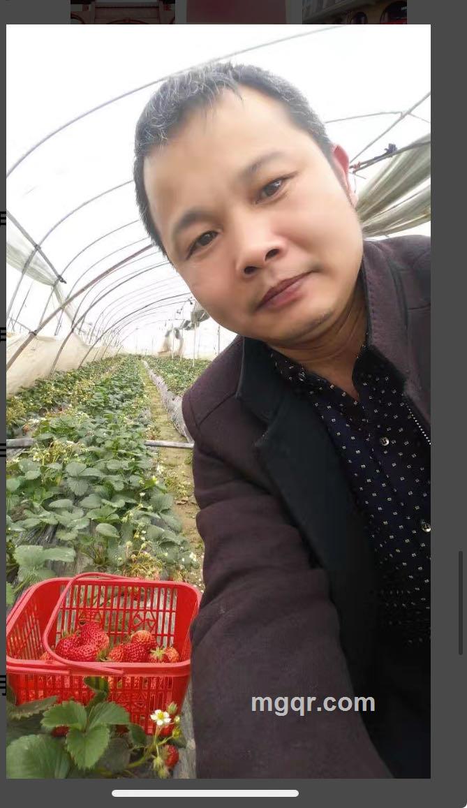 会员5526736的照片