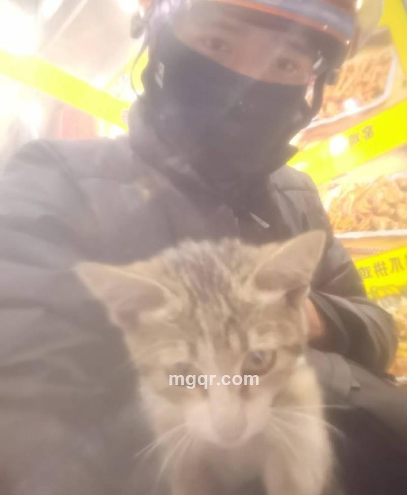 只为等你的照片