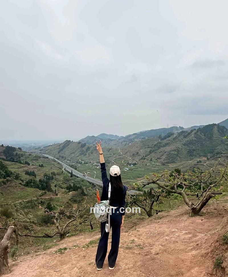 可乐*翅的第3张照片