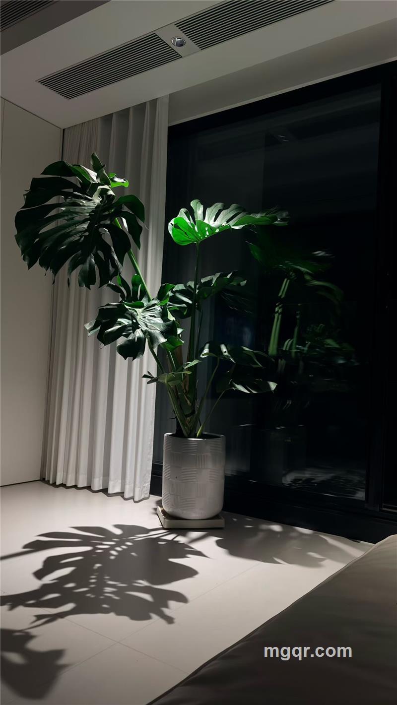 婉冰yy的第1张照片