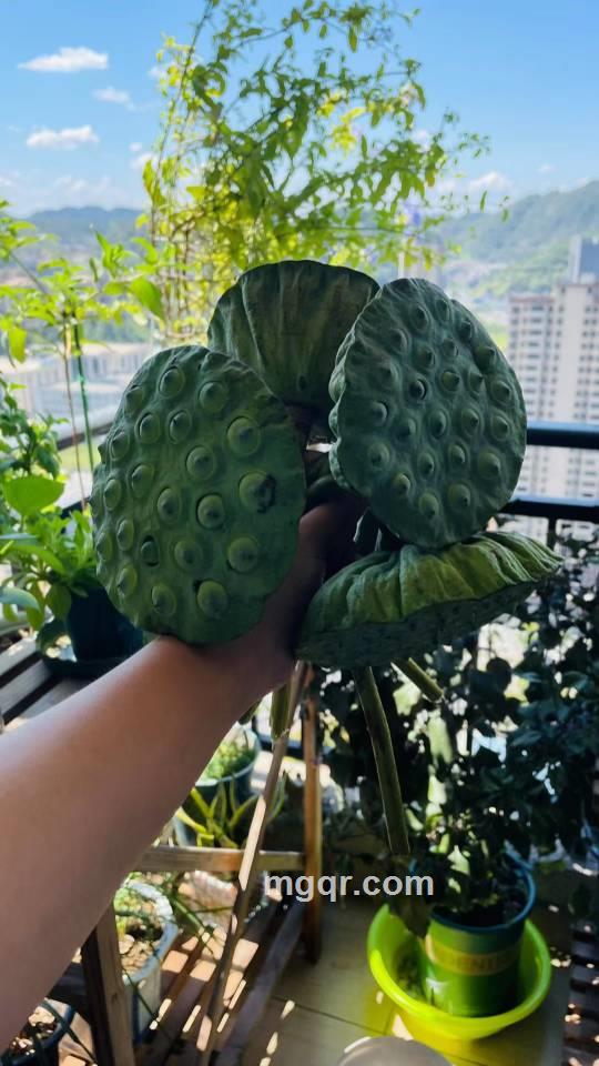 高远的第1张照片