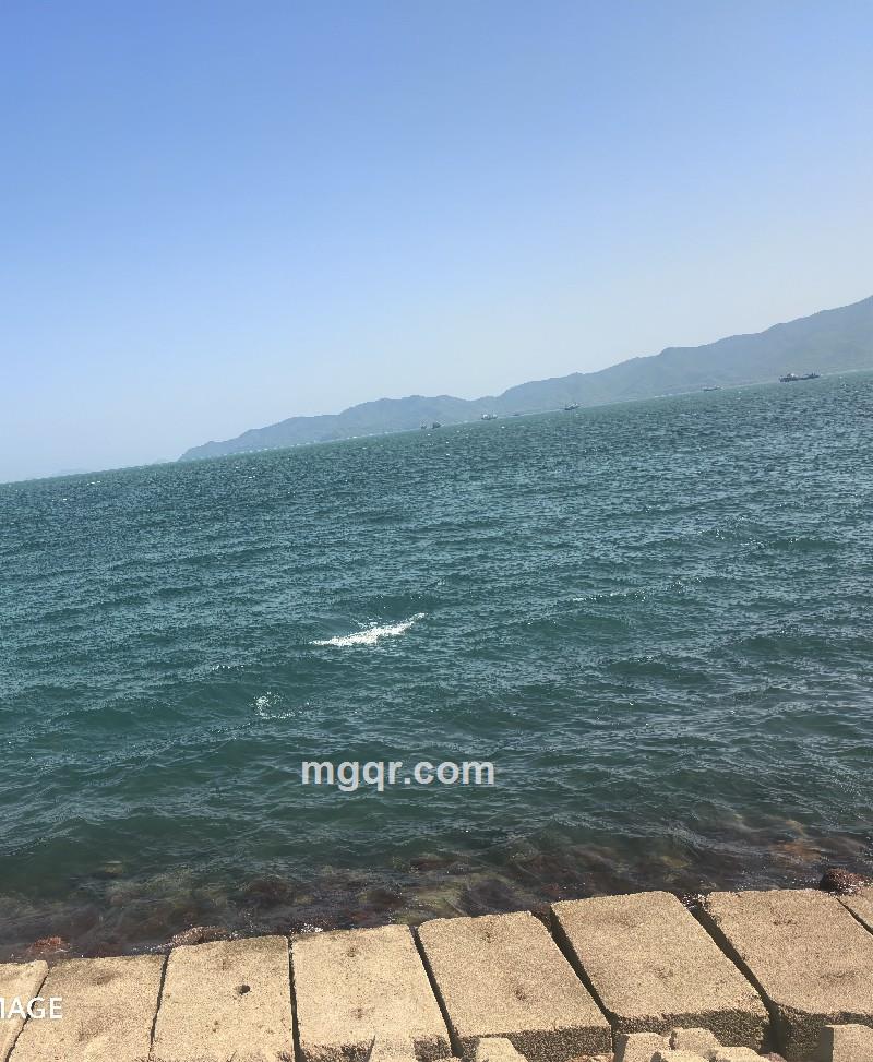 琴琴的第3张照片