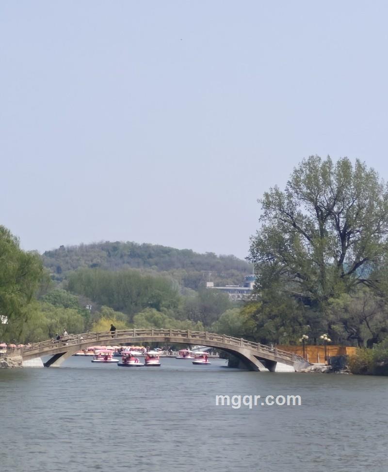 中午功夫的照片