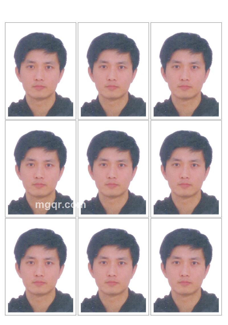 恐龙110的第2张照片
