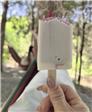 小鹿乱撞的第1张照片