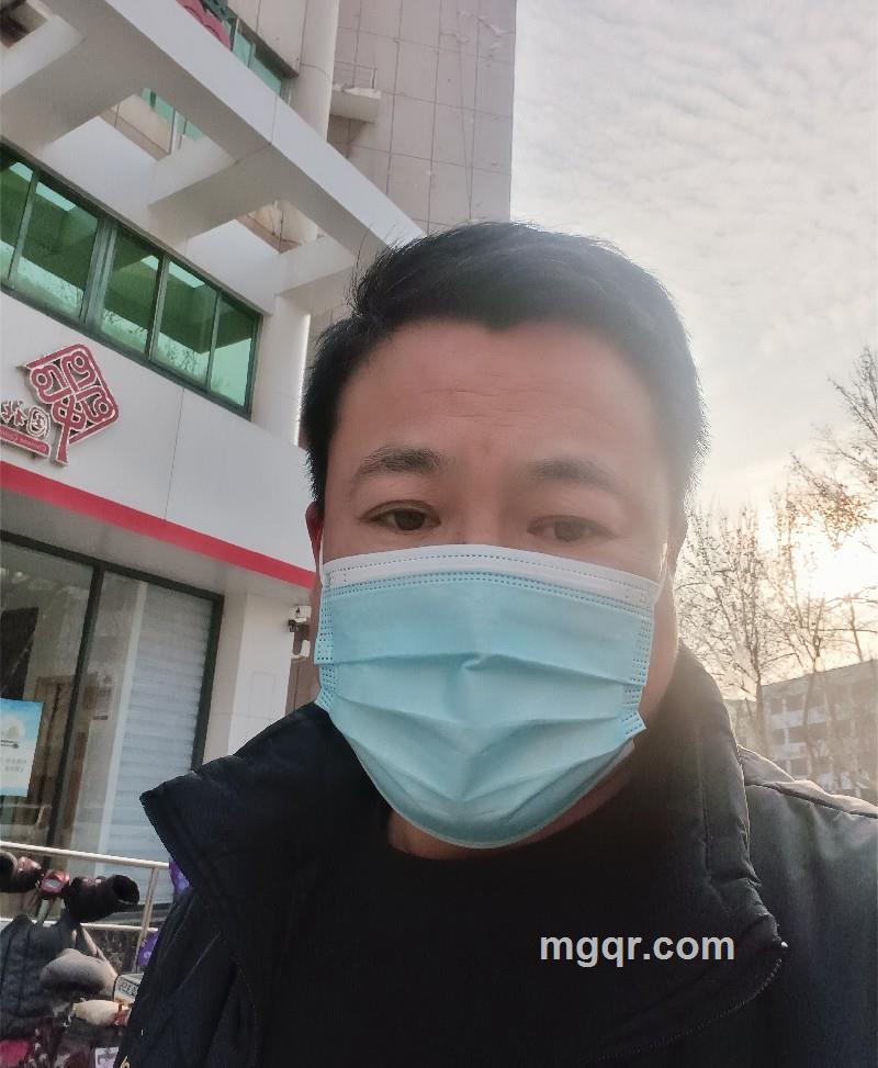雪夜苍狼的照片
