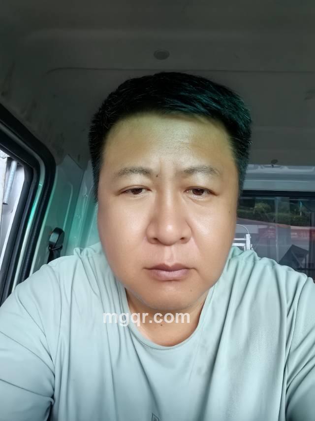 雨后春笋的照片