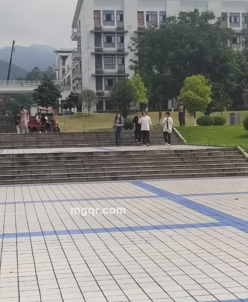 小小贝壳的照片