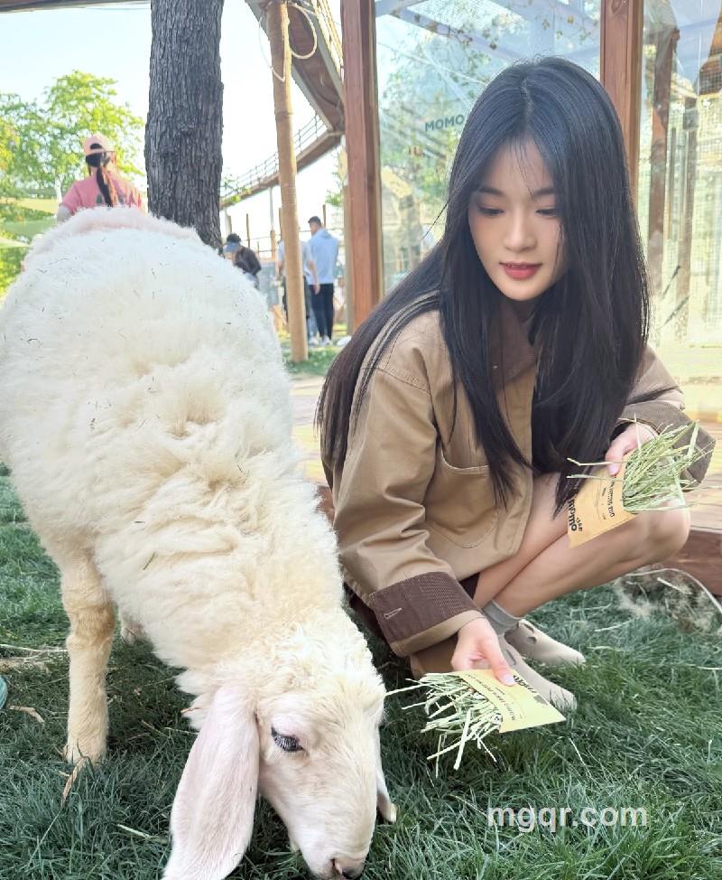 芸汐的照片