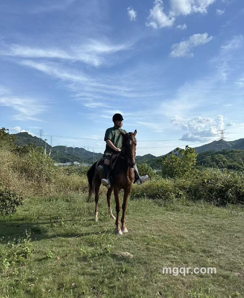 寡人的第1张照片