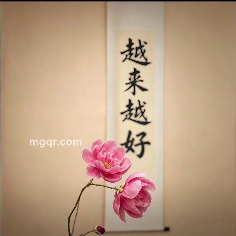 喵喵的照片
