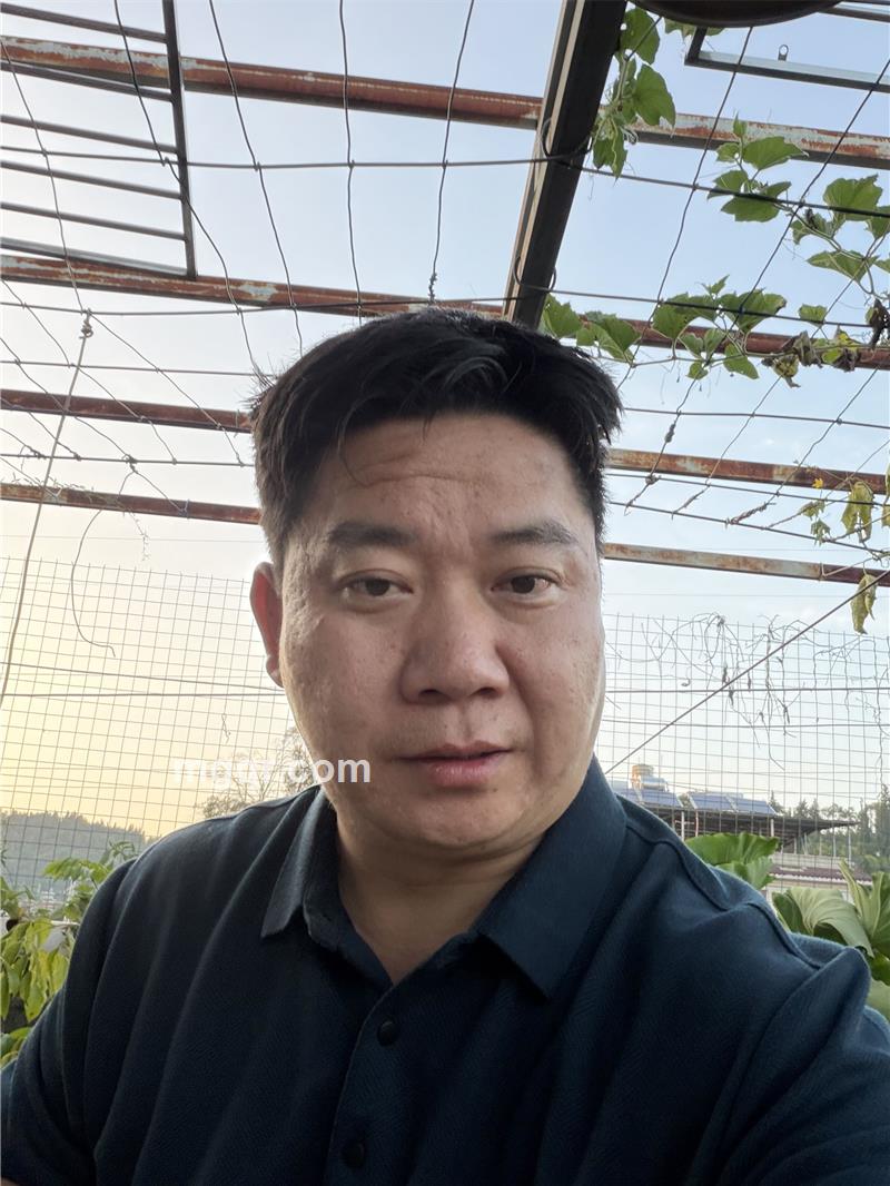 抓住青春的尾巴的照片