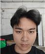 笨蛋的乌龟的照片