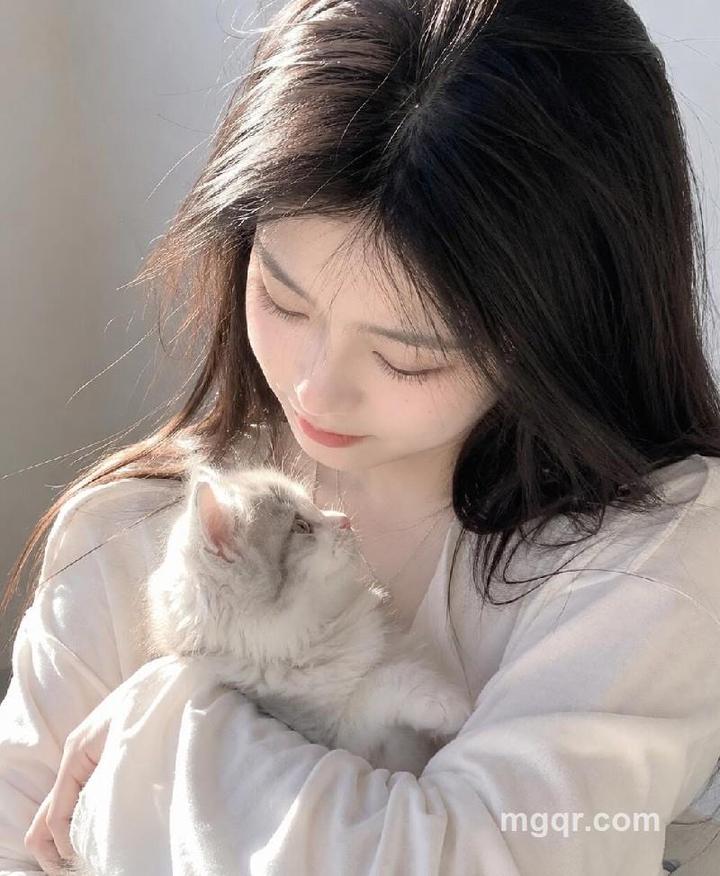 猫咪不吃鱼的照片