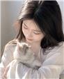 猫咪不吃鱼的照片