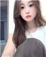 路灯下的猫的照片