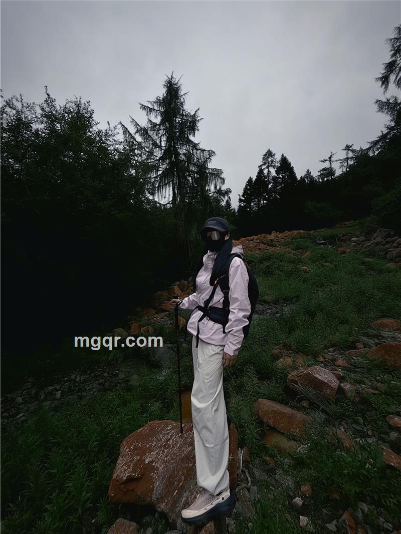 晴天的照片